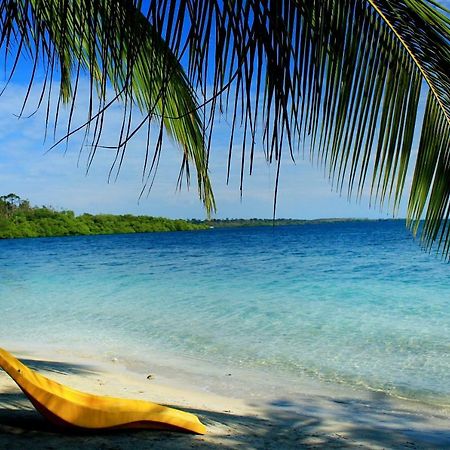 Coconut Hostel Bocas Town Εξωτερικό φωτογραφία