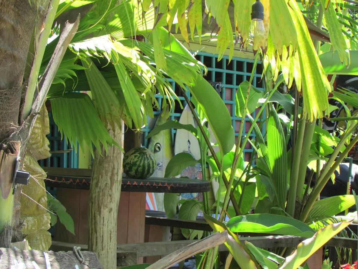 Coconut Hostel Bocas Town Εξωτερικό φωτογραφία