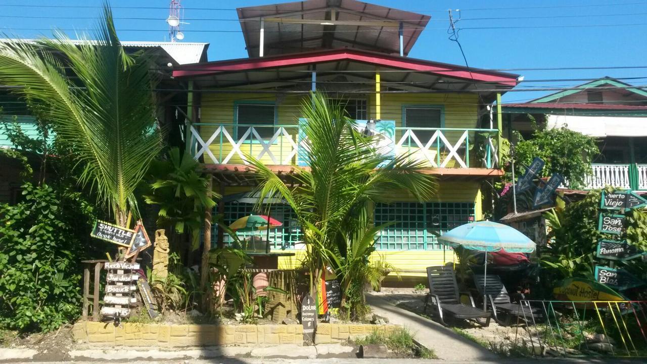 Coconut Hostel Bocas Town Εξωτερικό φωτογραφία