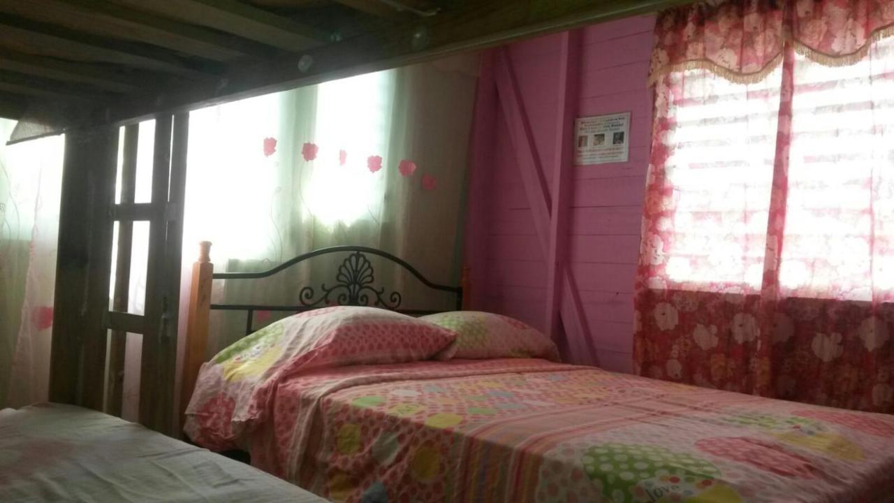 Coconut Hostel Bocas Town Εξωτερικό φωτογραφία