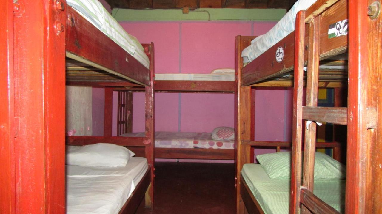 Coconut Hostel Bocas Town Εξωτερικό φωτογραφία