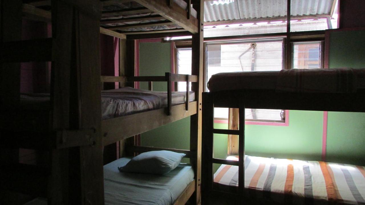 Coconut Hostel Bocas Town Εξωτερικό φωτογραφία