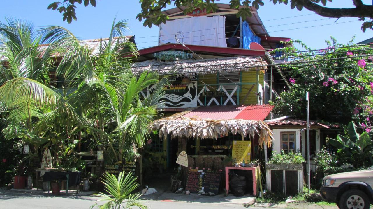 Coconut Hostel Bocas Town Εξωτερικό φωτογραφία