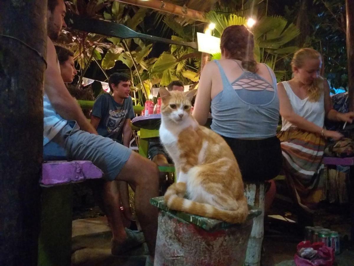 Coconut Hostel Bocas Town Εξωτερικό φωτογραφία