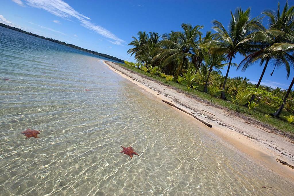 Coconut Hostel Bocas Town Εξωτερικό φωτογραφία
