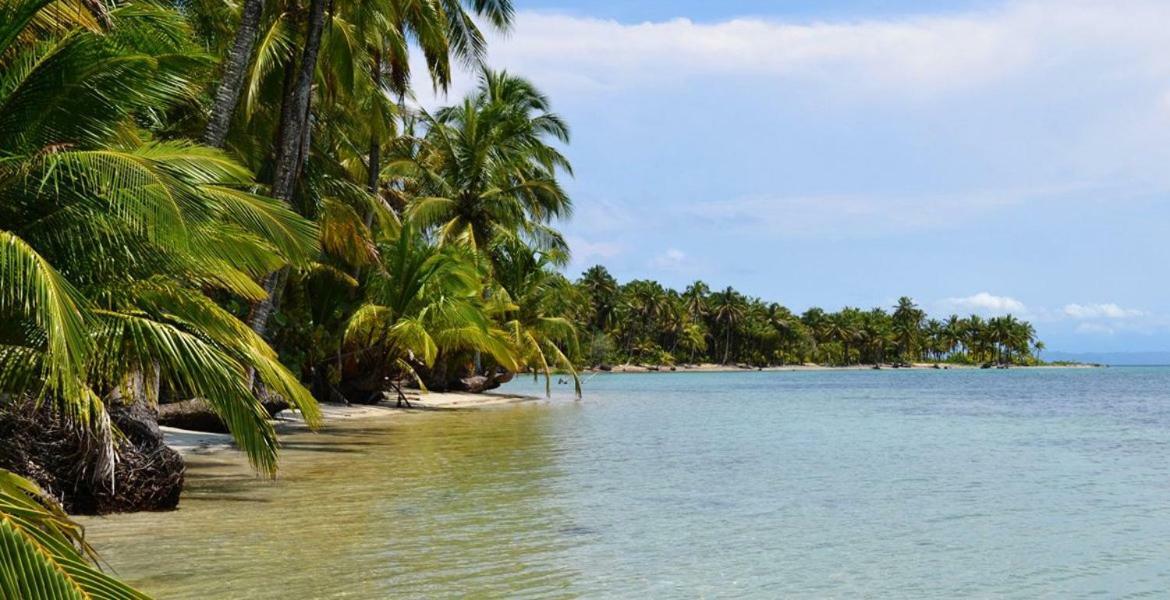 Coconut Hostel Bocas Town Εξωτερικό φωτογραφία