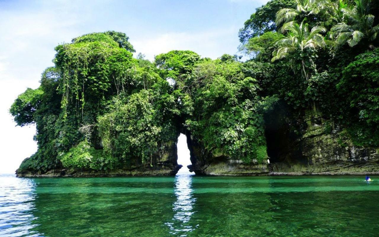 Coconut Hostel Bocas Town Εξωτερικό φωτογραφία