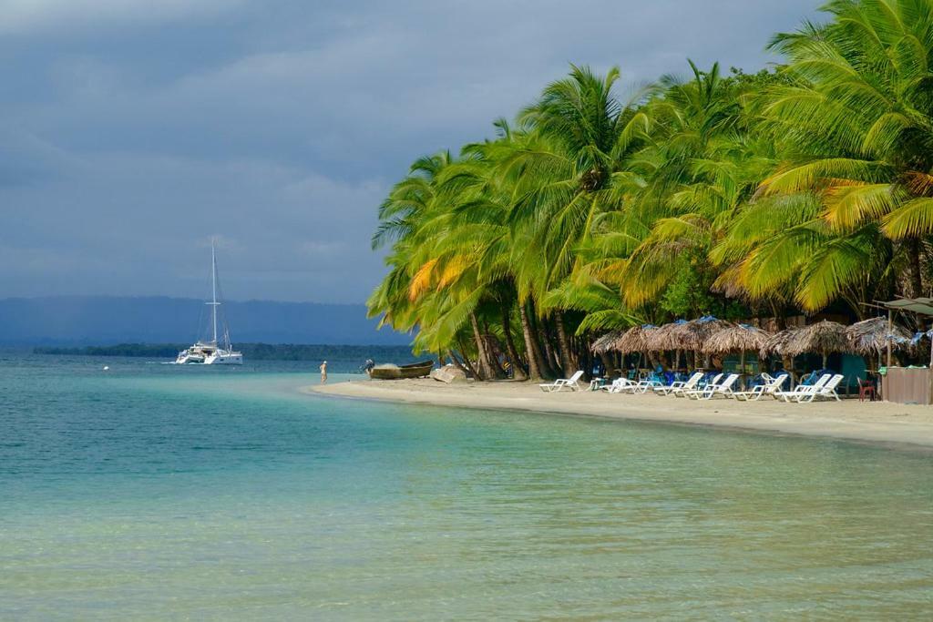 Coconut Hostel Bocas Town Εξωτερικό φωτογραφία